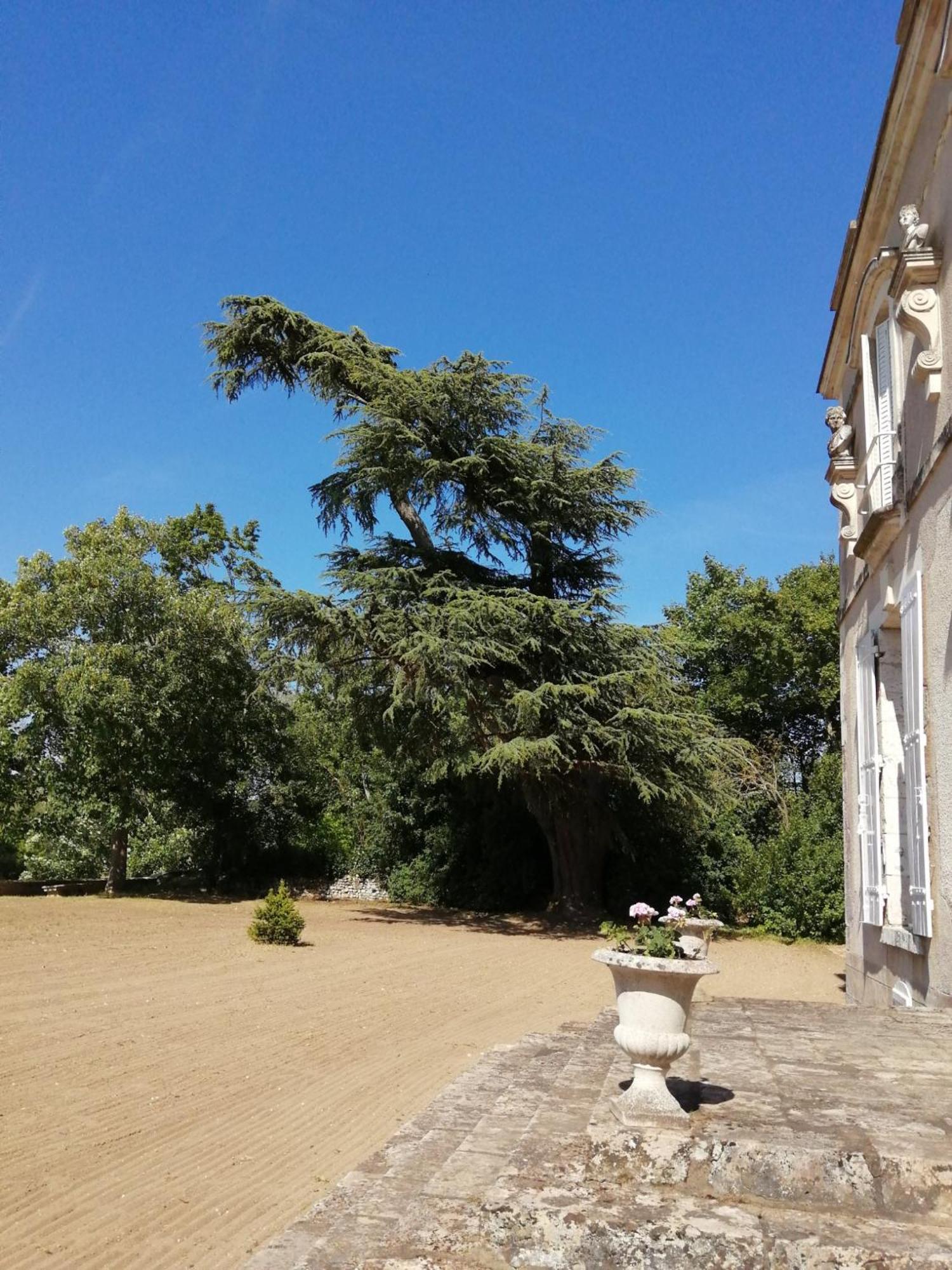 Muides-sur-Loire Chateau De Colliers חדר תמונה