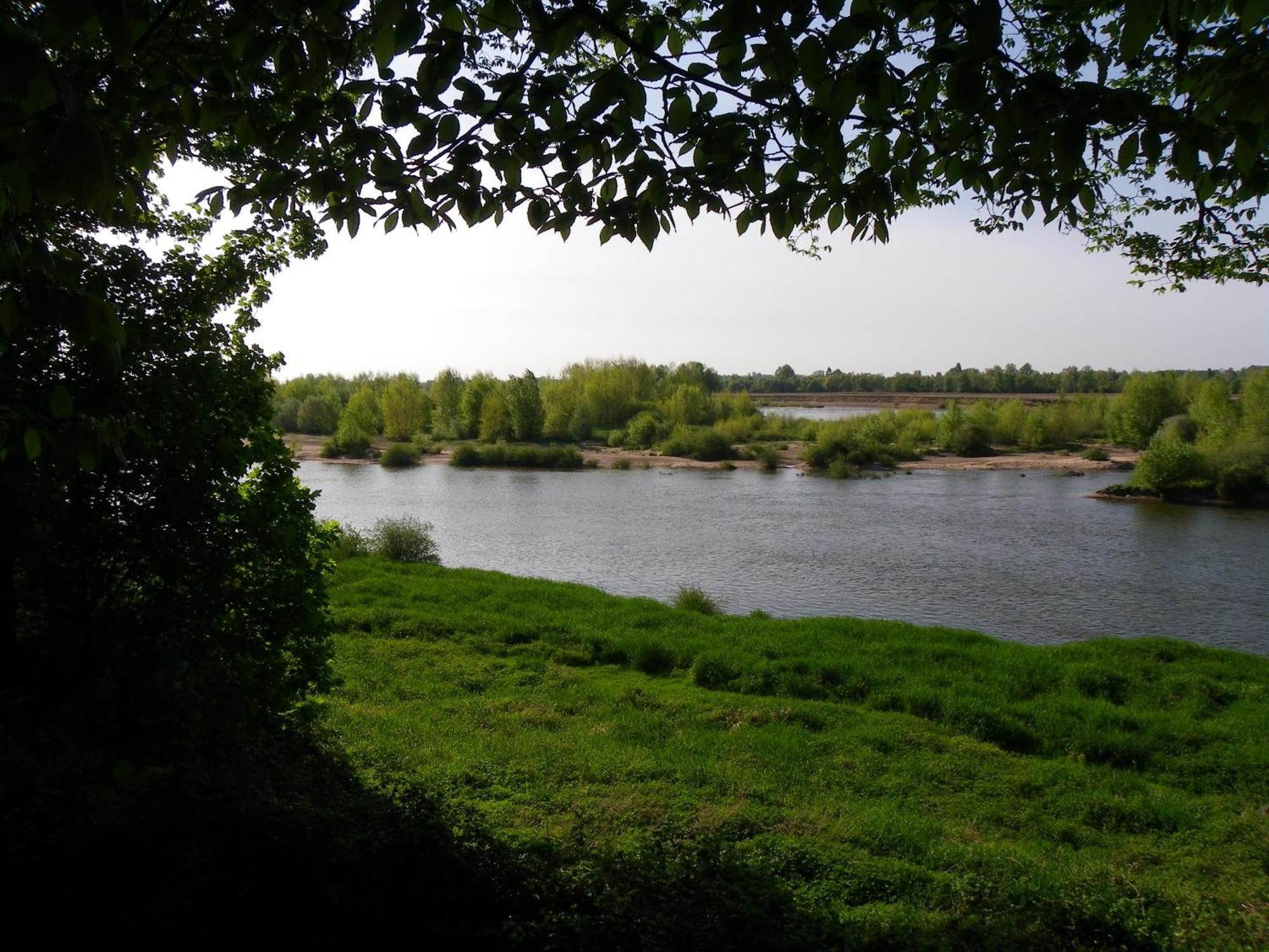 Muides-sur-Loire Chateau De Colliers מראה חיצוני תמונה