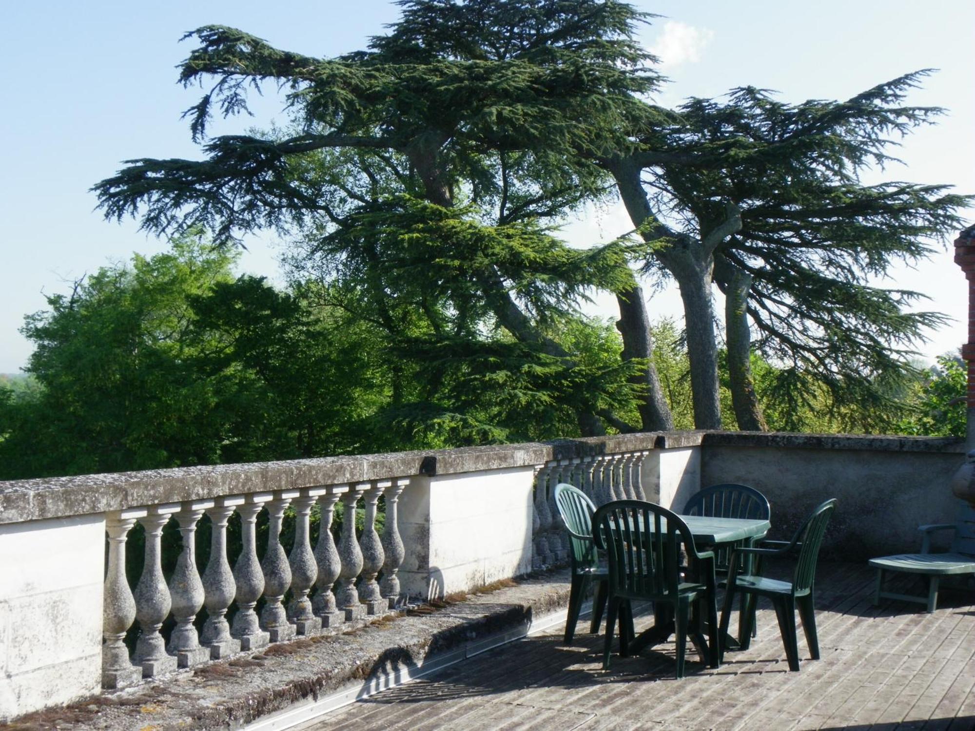 Muides-sur-Loire Chateau De Colliers חדר תמונה